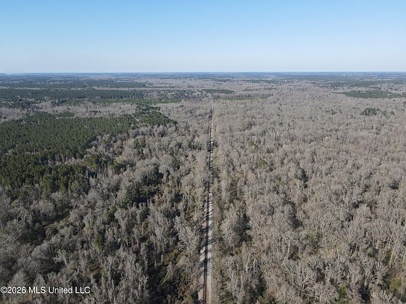 4th image of Bogue Chitto Rd