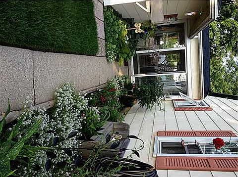 5th image of 1046 Mulberry St