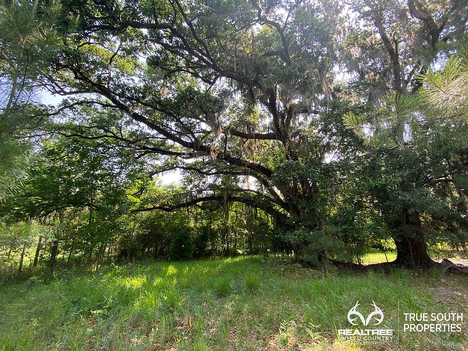 Highway 63, Varnville, SC 29944 Zillow