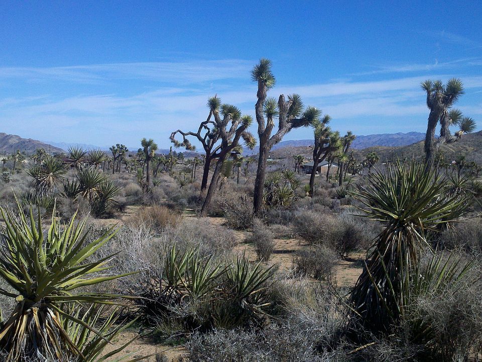 1st image of 57479 Buena Vista Dri