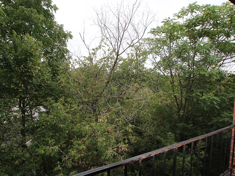 1005 Glass Run Rd — Photo 11