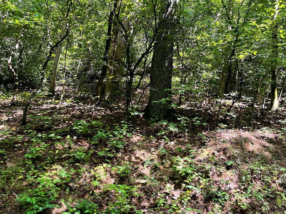 2nd image of 117/118 Hi River Road 117/118