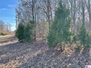 12433 Highway 629, Falls Of Rough, KY 40119