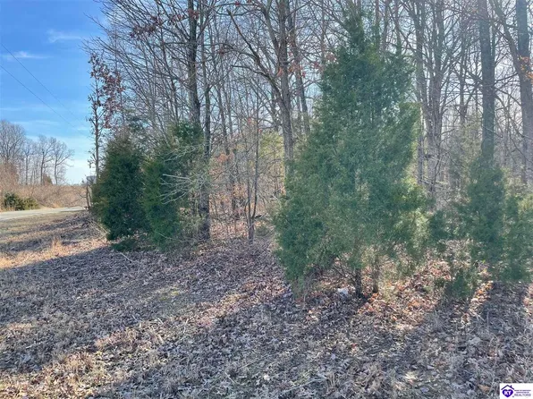 12433 2nd Highway 629 #Of, Falls Of Rough, KY 40119