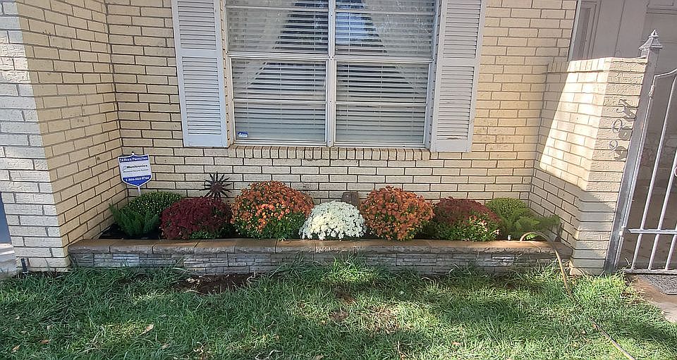 flowerbed