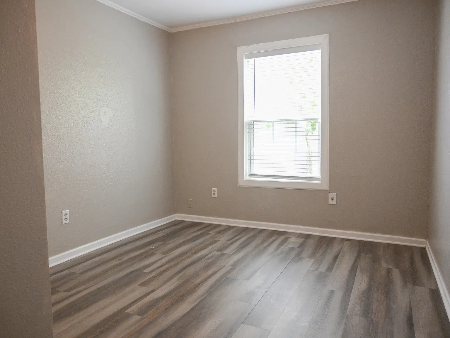 2 bed, 700 sqft, $1,250 — Photo 4