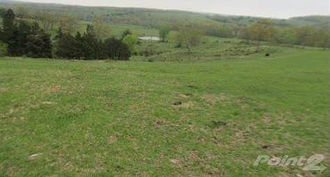 Long view of Eastern part of ranch, with pond at a distance