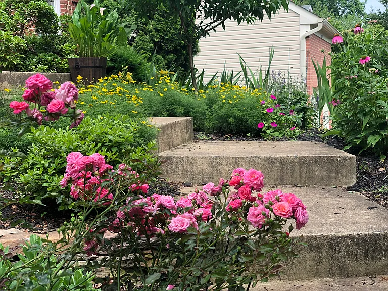 20449 Winfield Pl — Photo 23