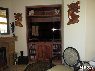 Built in Entertainment Center