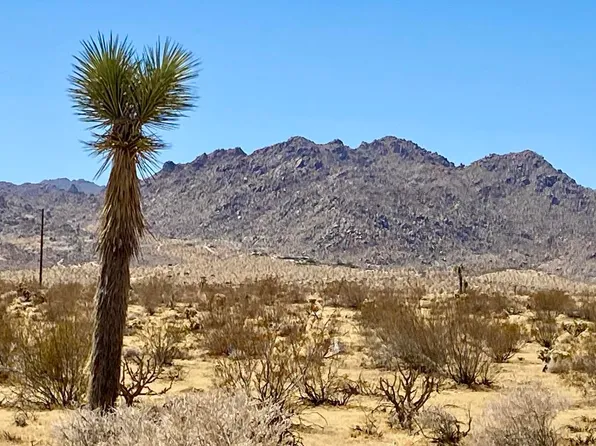 109 Border Ave, Joshua Tree, CA 92252