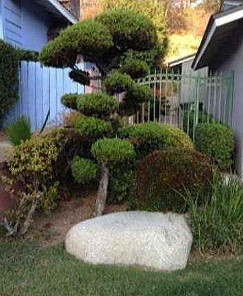 3rd image of 1890 Lupine Ave