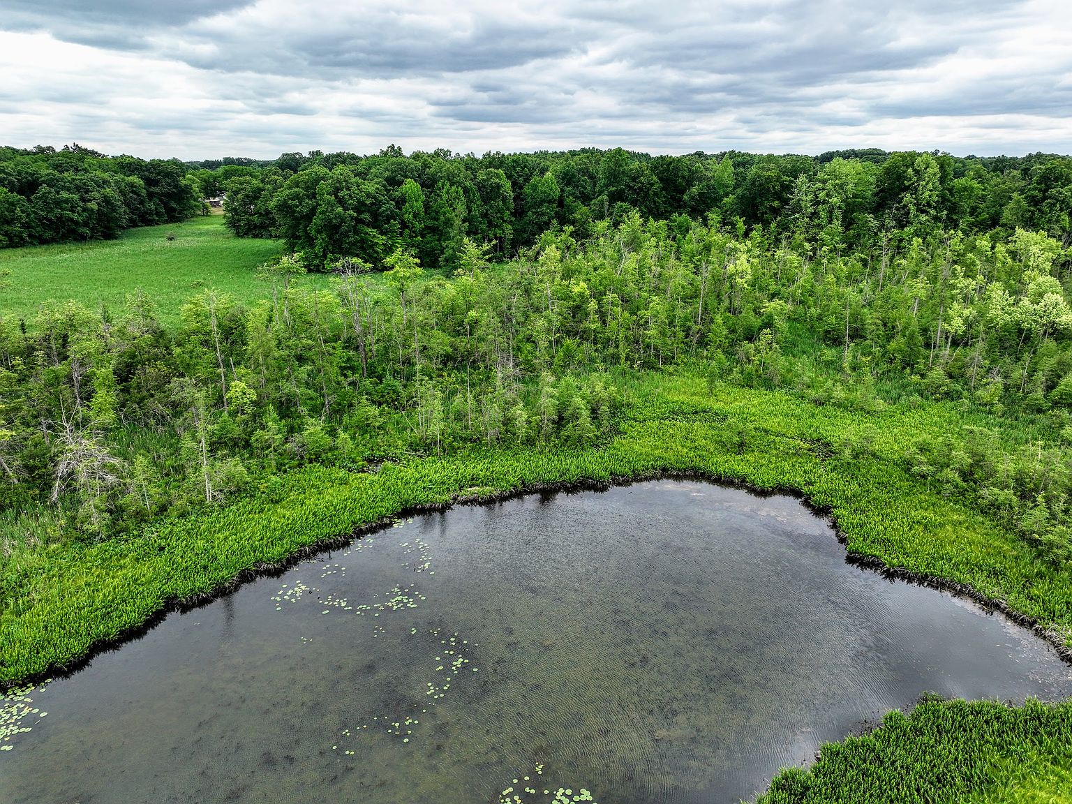Mud Lake Rd LOT WP001, Bellevue, MI 49021 Zillow