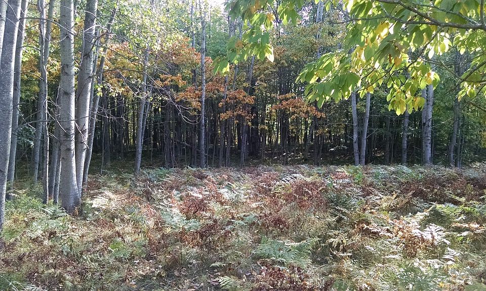 1st image of 12371 Lone Oak Dr
