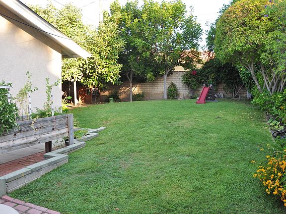 Back yard with fruit trees and avocado tree