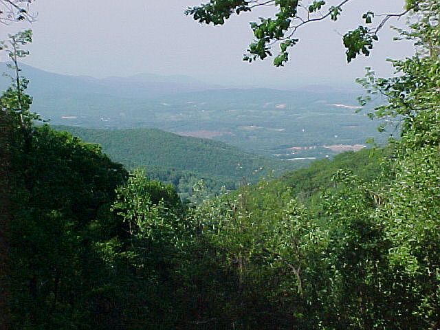 A million dollar view.
