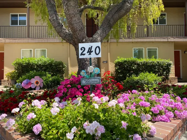 240 Di Salvo Ave, San Jose, CA 95128