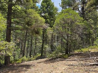 LOT 5540 Joy Rd, Fort Garland, CO 81133