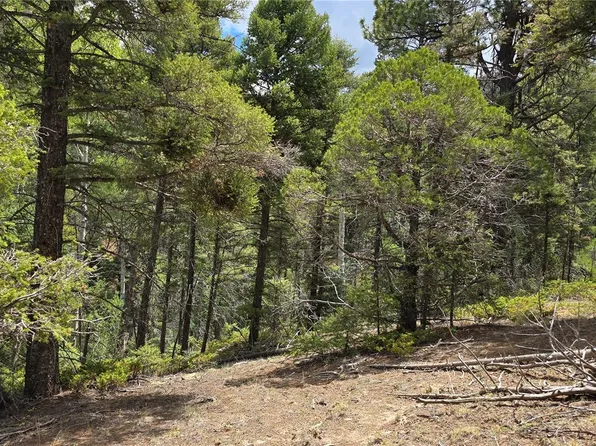 Lot 5540 Joy Road, Fort Garland, CO 81133
