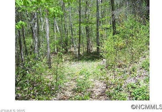 5th image of Lot 38 Cabin Creek Trl #38