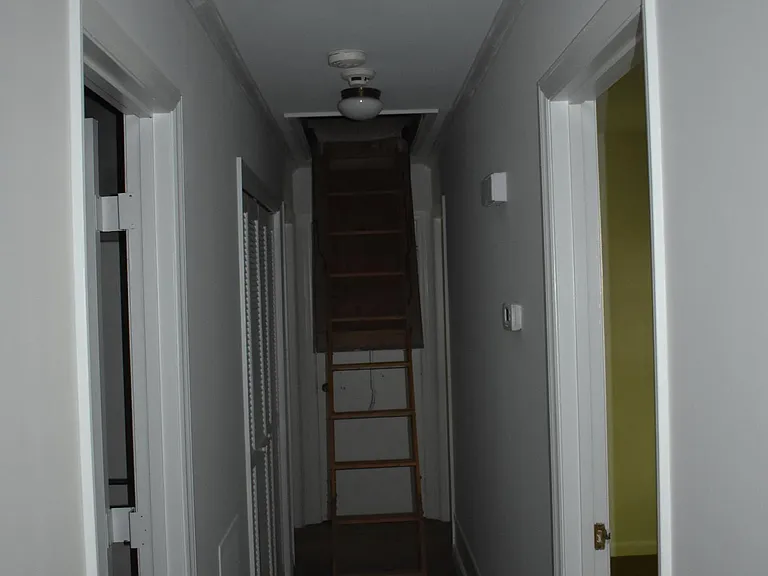 Attic ladder