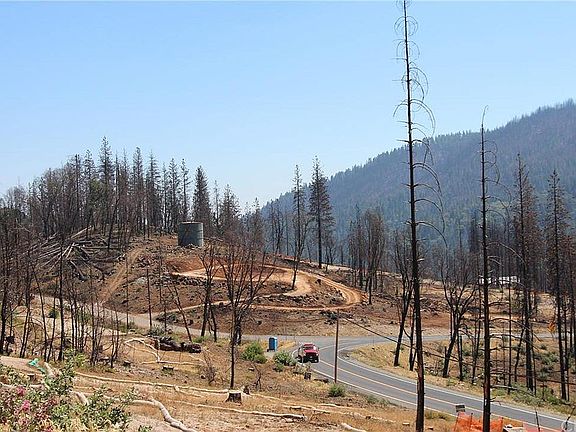 3rd image of 15305 Evergreen Dr