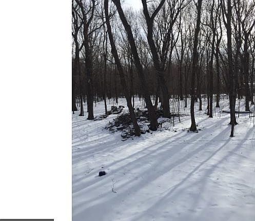 4th image of 7565 N Shore Trl N