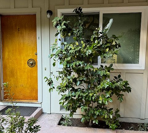 3rd image of 4274 Wilkie Way #C