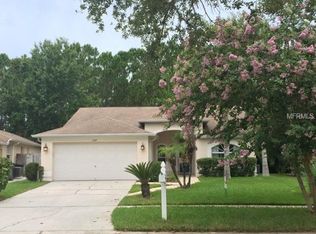 13117 Royal George Ave, Odessa, FL 33556