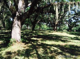 11562 N Bluff Cove Path, Dunnellon, FL 34434