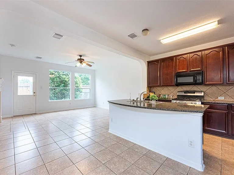 21706 Spring Vine Ln — Photo 9