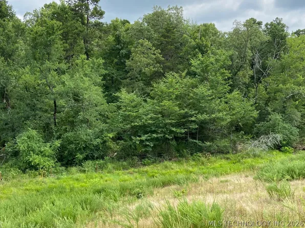 W State Highway 3, Ringold, OK 74754