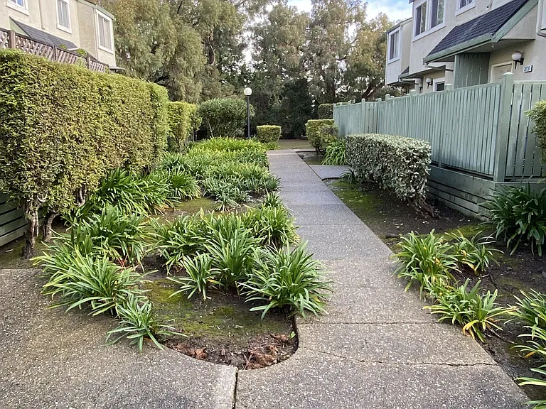 3841 Nolan Ter — Photo 14