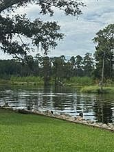 4th image of 3112 Lookout Pl