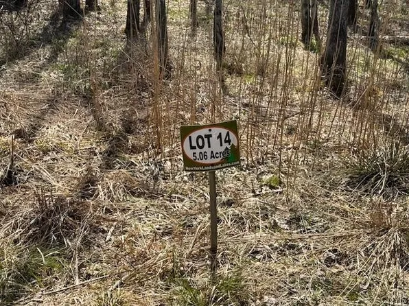 2401 Strawberry Lake Dr N #14, Marathon, NY 13803