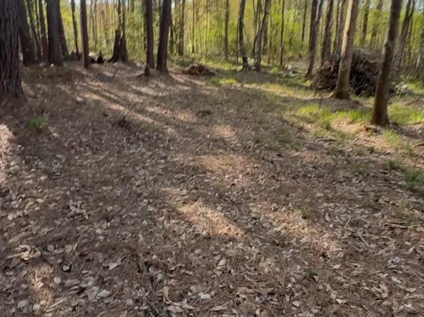 0 Musgrove Muscat Lot 241, Shepherd, TX 77371