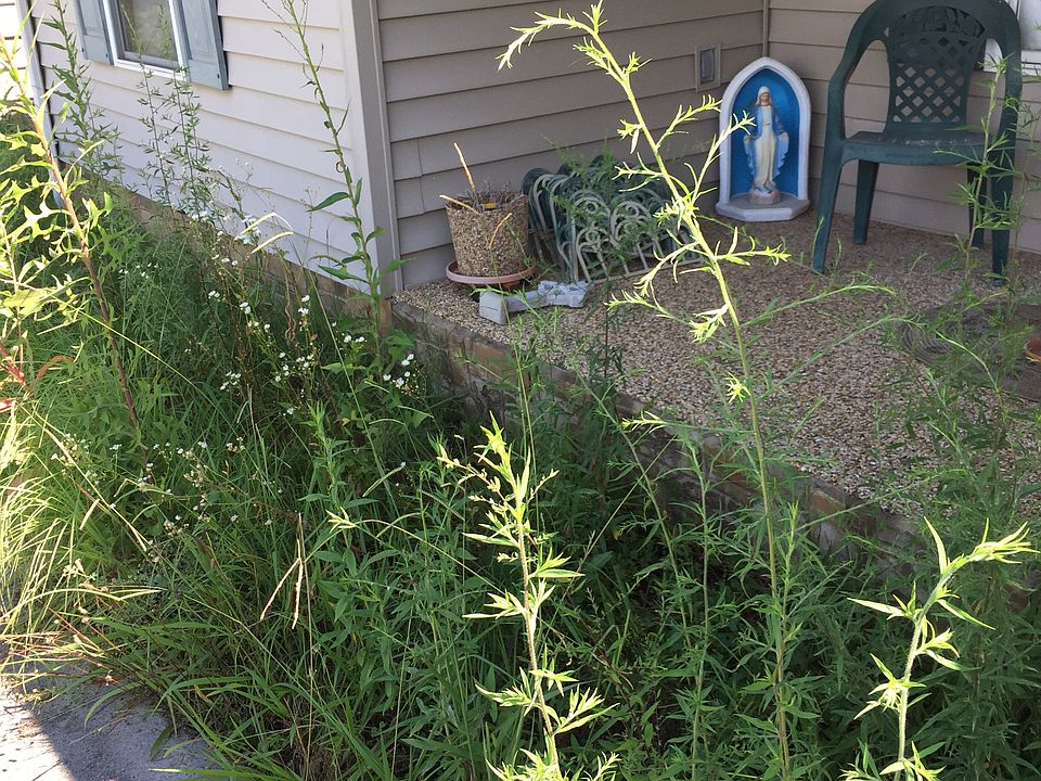 1st image of 676 Catherine Dr