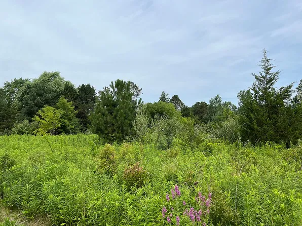 11154 N Lewis Rd, Clio, MI 48420