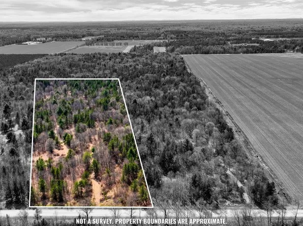 19.93 Acres 16th Avenue #1 & 2, Necedah, WI 54646