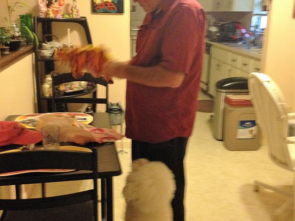 dining room with bay window 