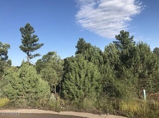 3480 W Lion Barger Dr, Show Low, AZ 85901