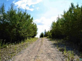 Xxx Wolf Lake Rd, Ely, MN 55731