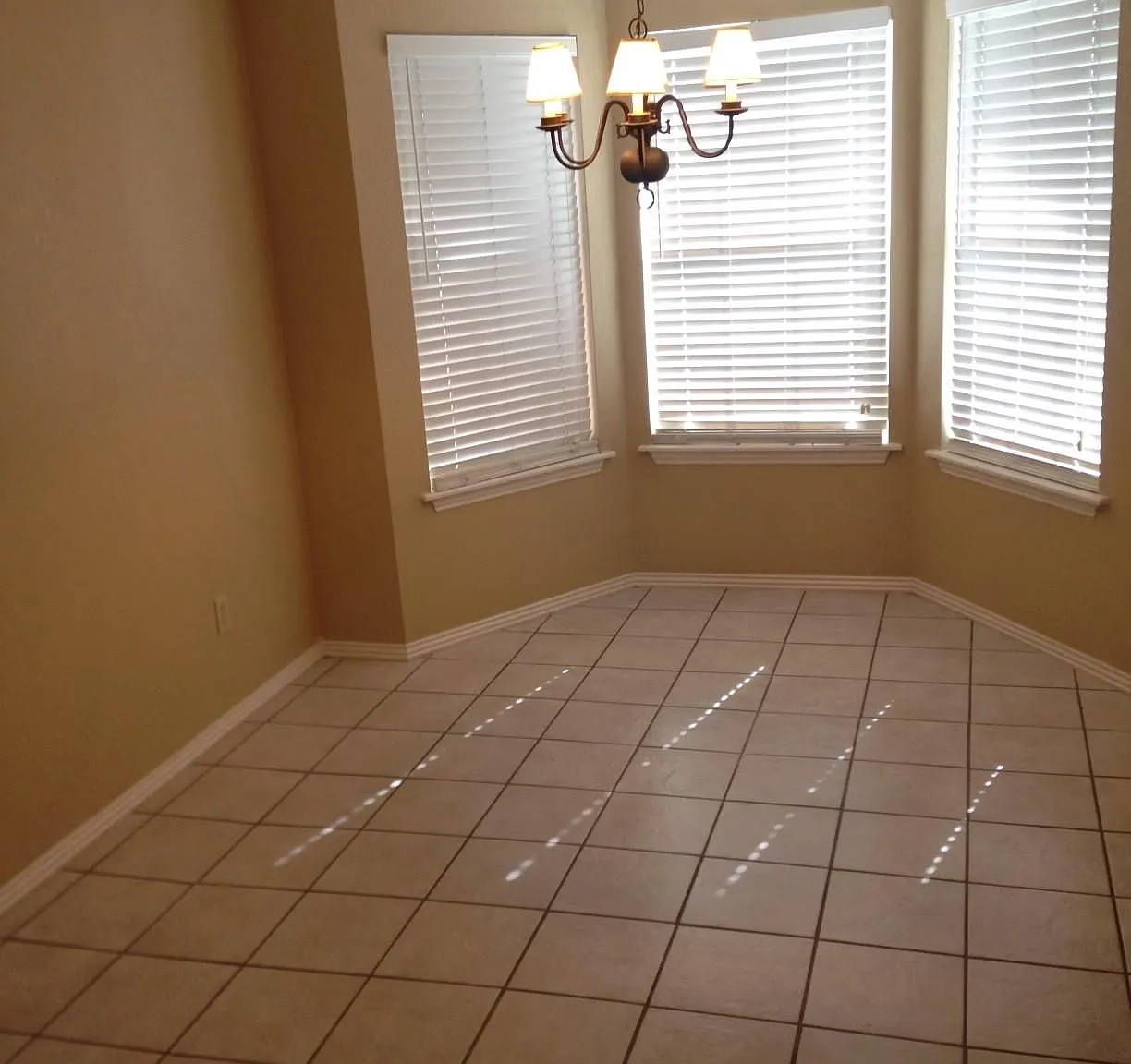 822 Andrew Pl — Photo 3