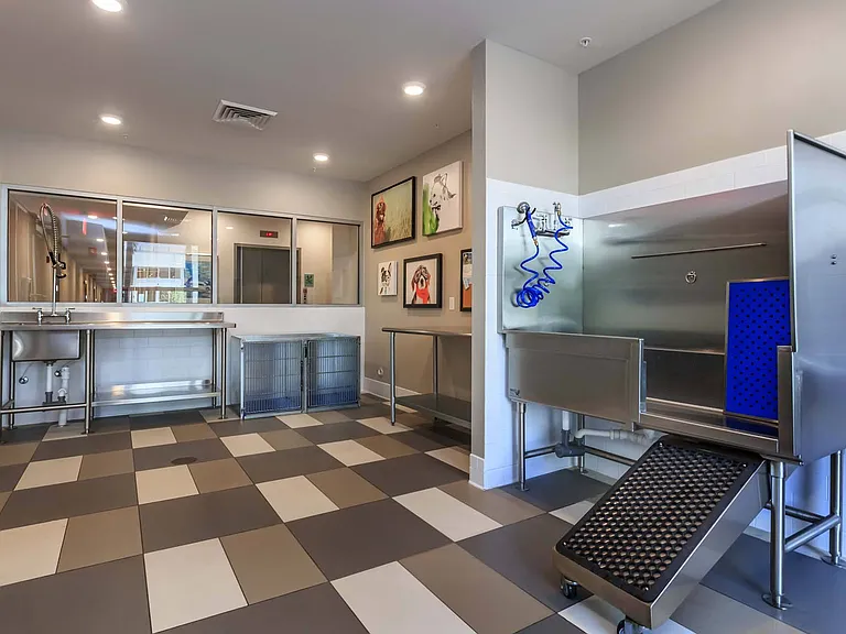 Treat your furry friend to a little pampering in the convenient, on-site pet spa.