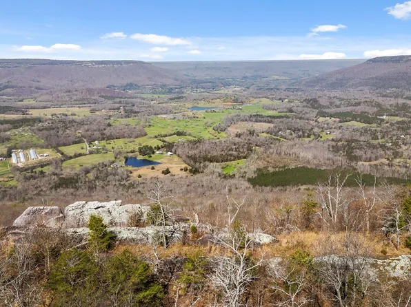 8 W Bluff Rd, Cloudland, GA 30731