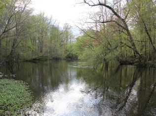 Edisto River Rd, Cope, SC 29038