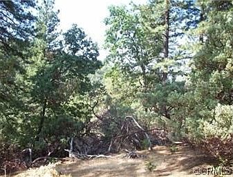 2nd image of 19266 Ponderosa Dr