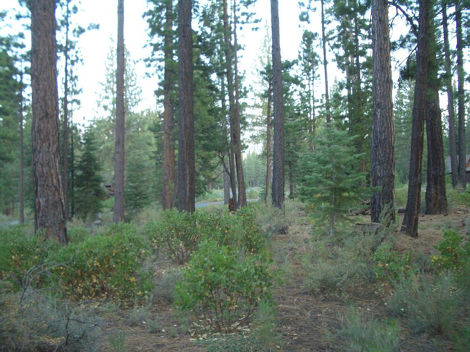 2nd image of 515 John Moody