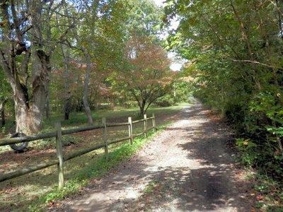 2287 Jim Taylor Rd, Woodlawn, TN, 37191