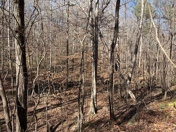 2nd image of 0 Tutwiler Rd