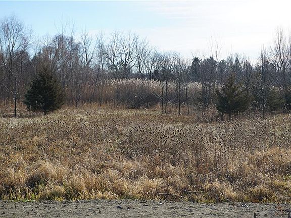 3rd image of 6926 Shelly Ln